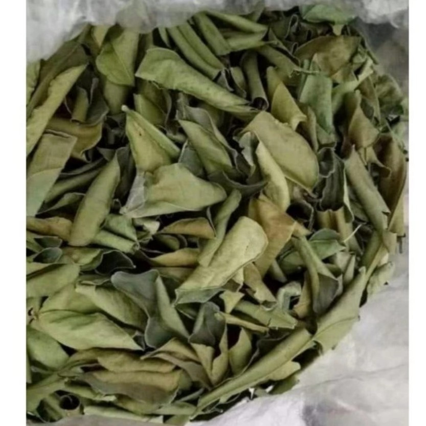 

Daun Jeruk Nipis Kering Alami / Daun Kering Jeruk Nipis