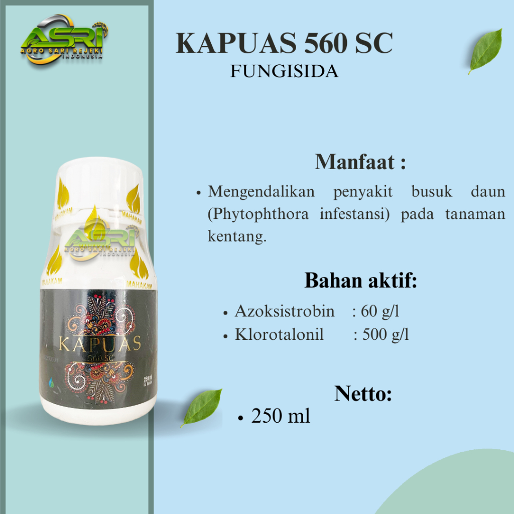 KAPUAS 560SC 250ML FUNGISIDA untuk mengendalikan penyakit hawar daun