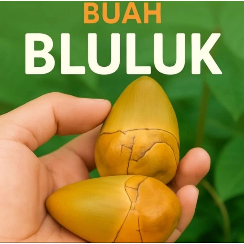 

Terlaris Belukuk/kelapa/kecil/tembulukkelapamuda/per10pcs