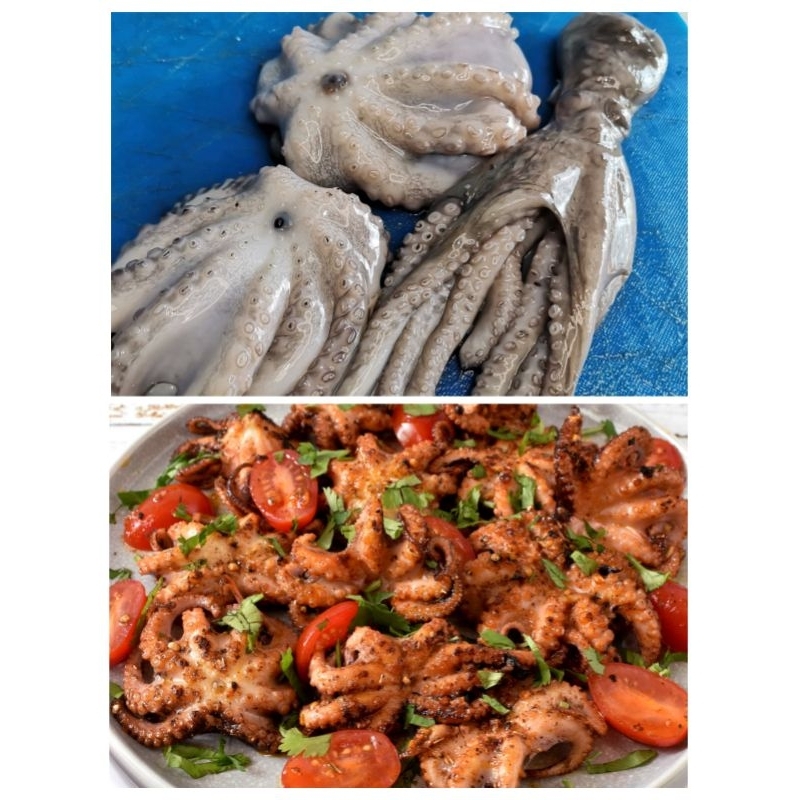 

Baby Octopus Bayi Gurita Mentah Segar 250Gram