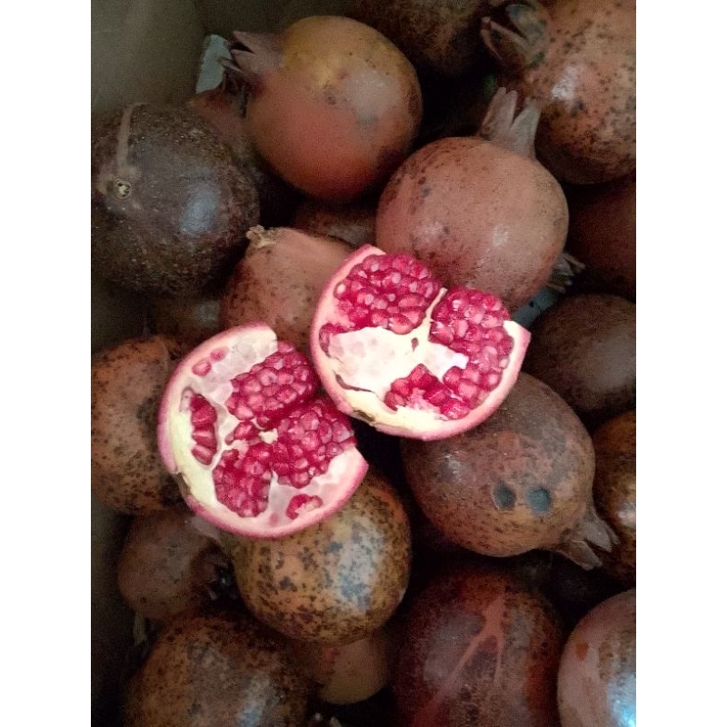 

buah delima merah lokal ½kg fresh