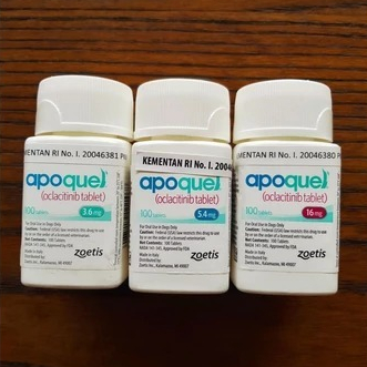 Apoquel Obat Anti Gatal Dermatitis Hewan Anjing Zoetis Tablet 3,6mg / 5,4mg / 16mg - Obat Anti Gatal
