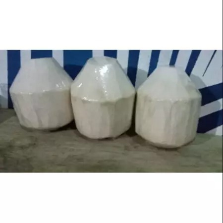 

Kelapa Muda Ijo Kupas Instant