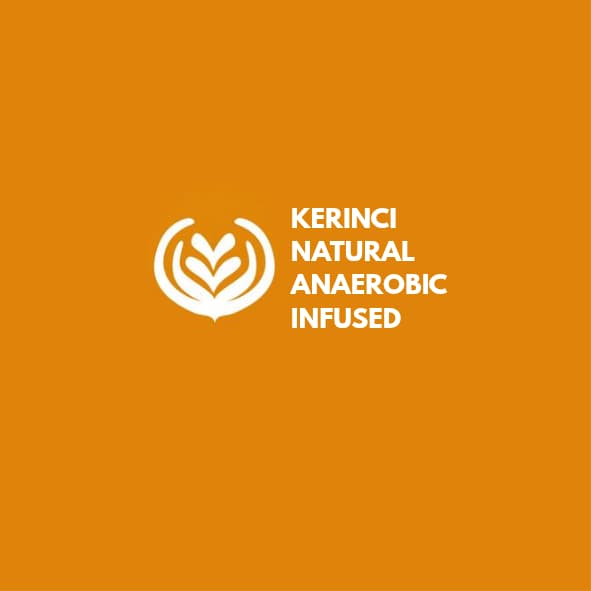 

arabica kerinci blackcurrant infused natural anaerob 100gr