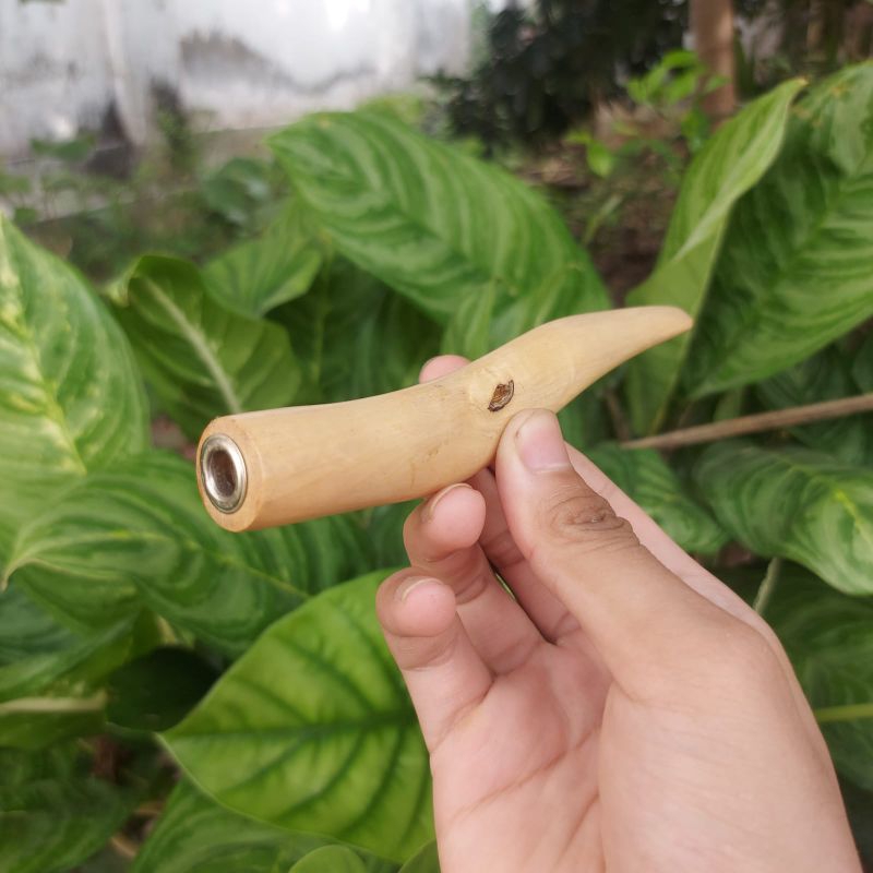 Pipa once kayu kemuning jumbo gading 11-12 cm