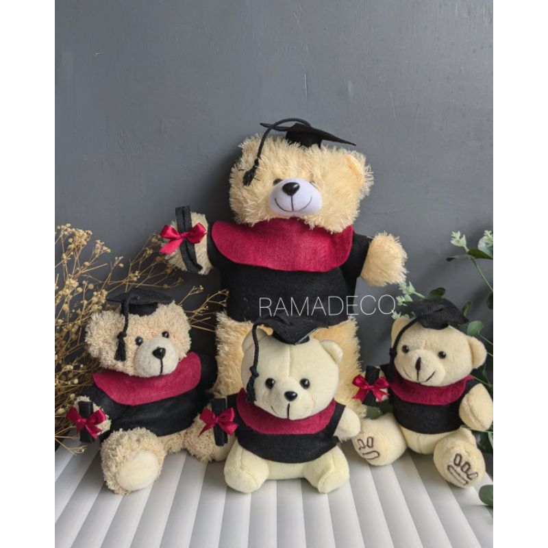 BONEKA WISUDA BONEKA SOL MICRO BONEKA BERUANG TEDDY BEAR BERUANG WISUDA BERUANG RASFUR BONEKA BERUAN