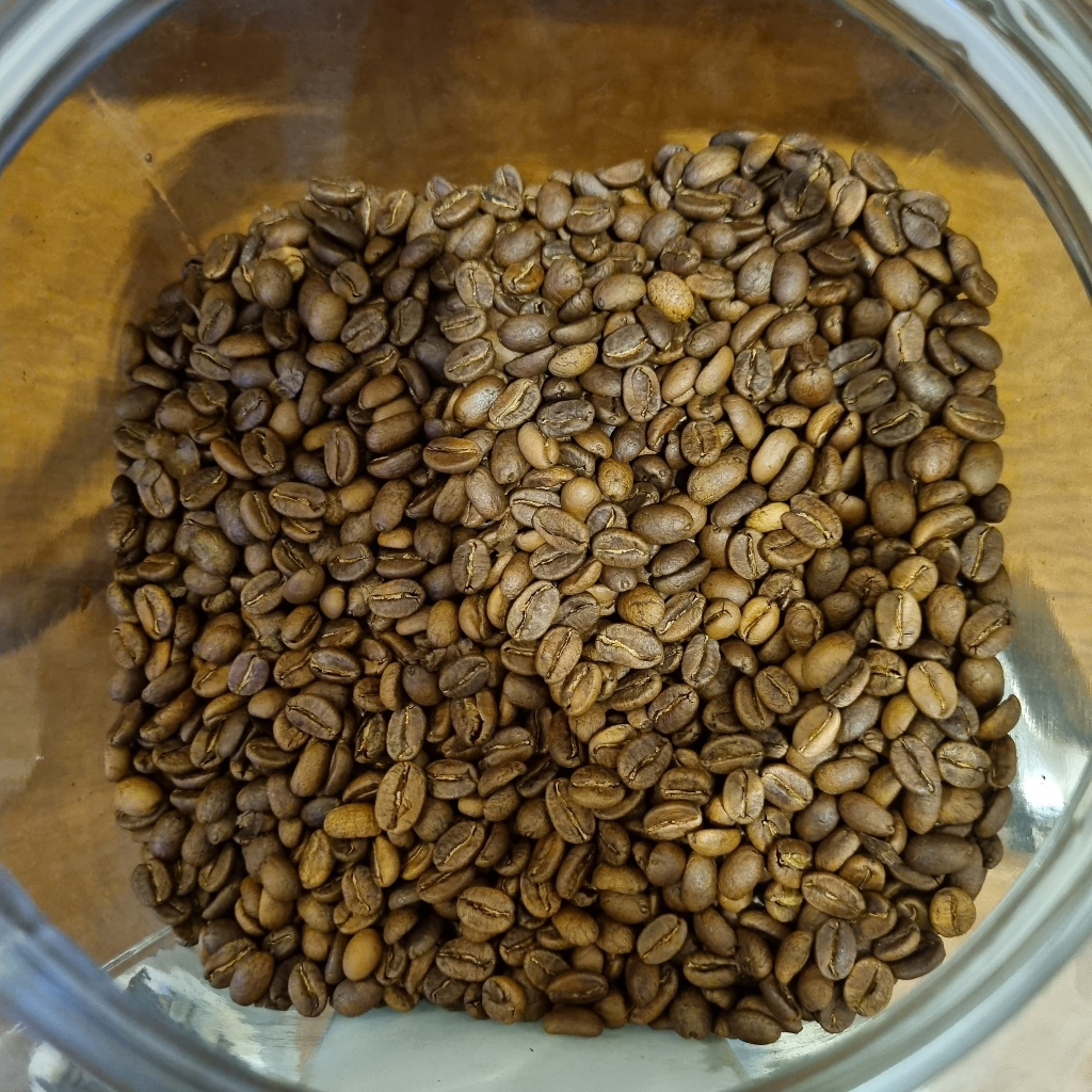 

NomuKohi-Palasari Anaerob Specialty Arabica Grade 1