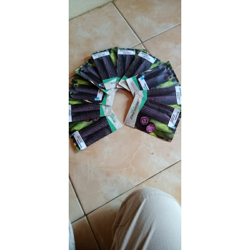 

benih jagung pulut ketan hitam/jagung sultan