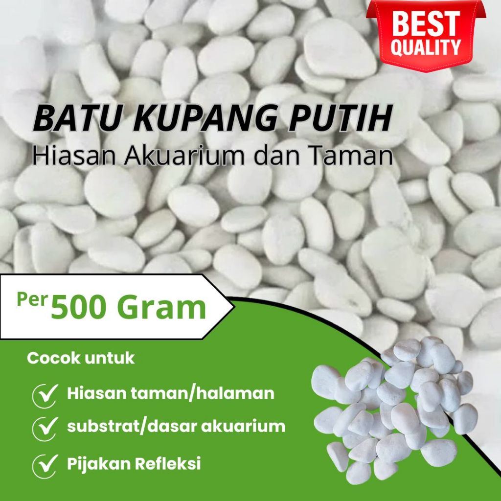 Batu Putih Kupang hiasan Taman dan Akuarium