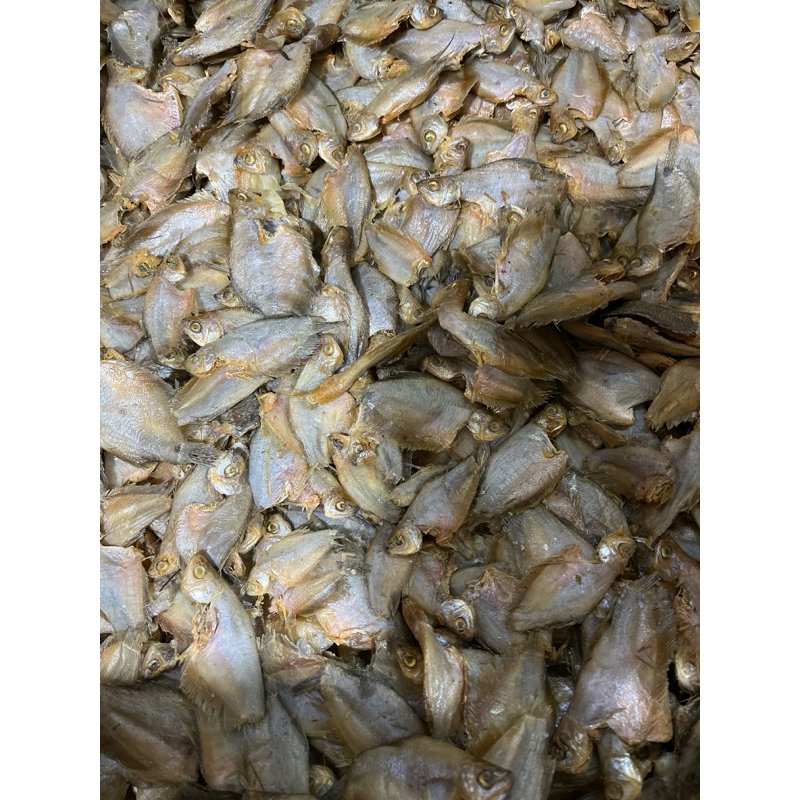 

Ikan Asin Sepat Kecil Kualitas premium // 250gr - 500gr
