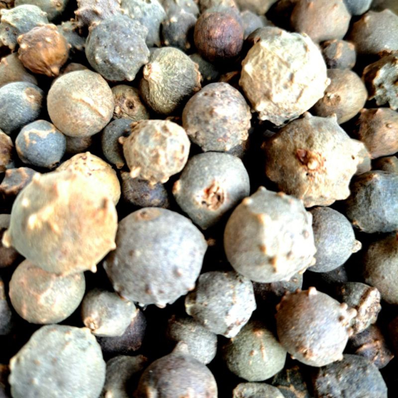 

REMPAH BUAH MAJAKANI KERING ASLI KUALITAS SUPER KEMASAN 100GRAM