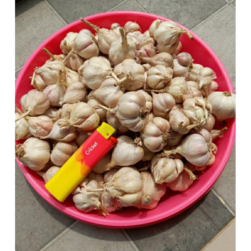 

Bawang Putih Lokal 1000 gr