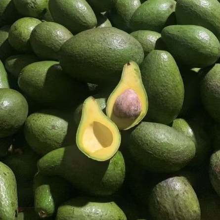 

Alpukat Mentega Jumbo lokal 1 kg isi 2-3-4