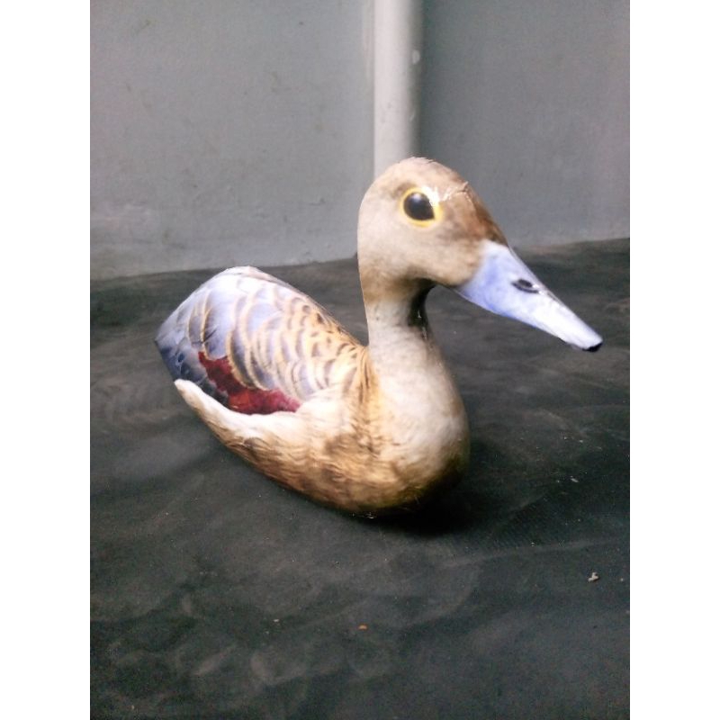 JONTROT/DECOY BELIBIS KEMBANG
