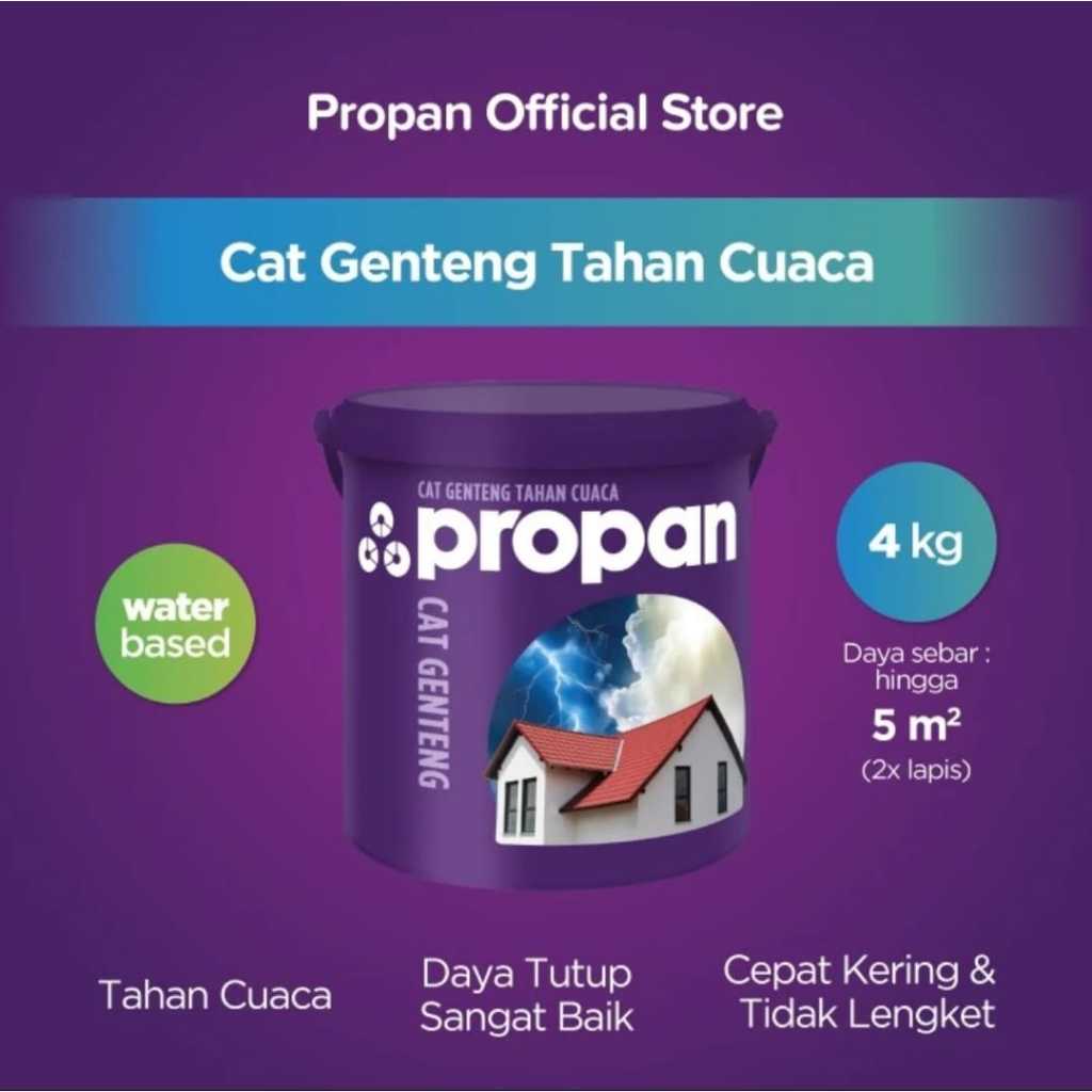 CAT GENTENG PROPAN CAT GENTENG 4KG