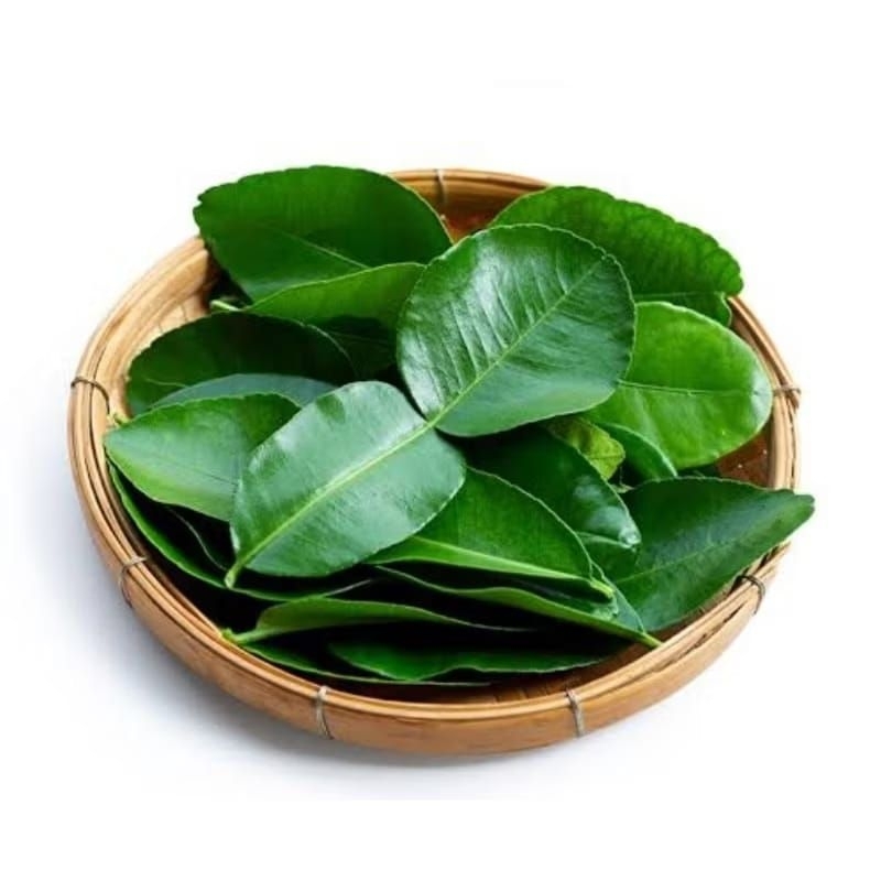 

DAUN JERUK PURUT SEGAR 50 GRAM