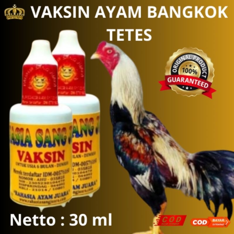 VAKSIN AYAM BANGKOK USIA 6 BULAN - DEWASA