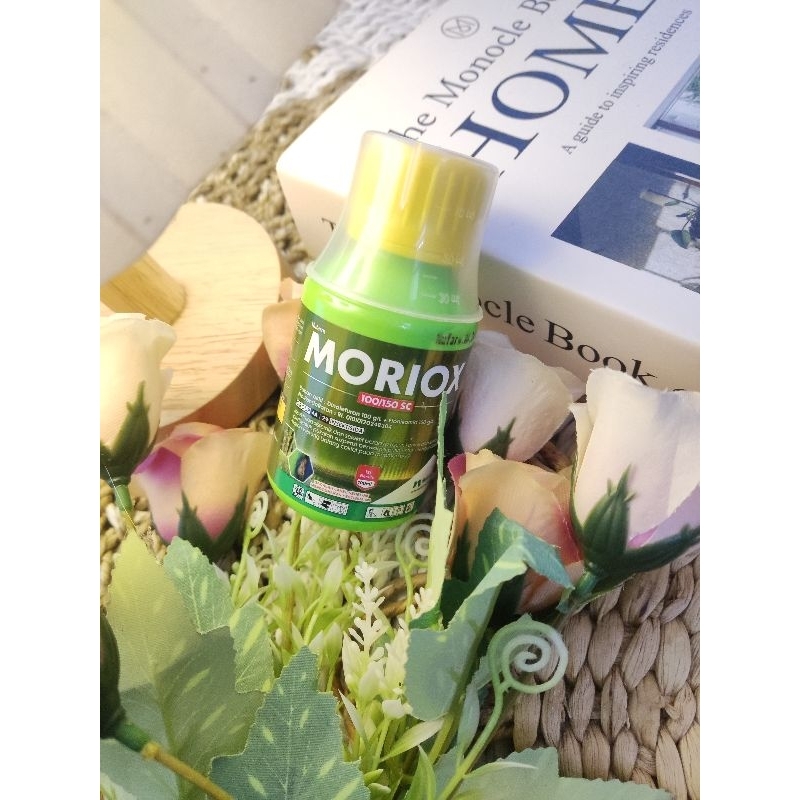 MORIOX INSEKTISIDA SISTEMIK TERBARU UNTUK HAMA WERENG || BELI 2 GRATIS KAOS