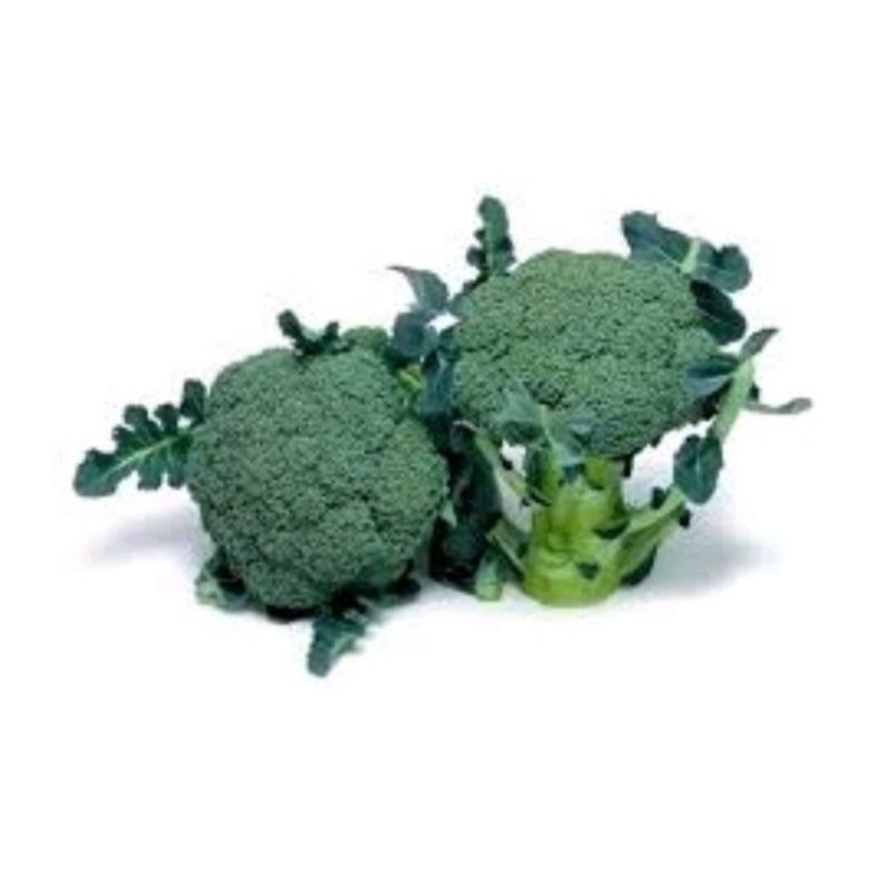 

Sayur brokoli segar -+250gr..