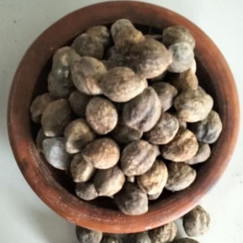 

Biji kemiri/muncang 250gr isi 50biji