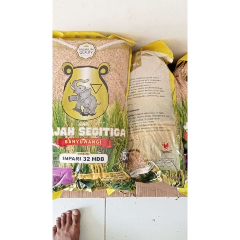 Benih Padi Inpari 32 Gajah Segitiga Banyuwangi kemasan 5kg