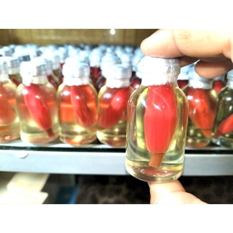 Bunga kantil merah segar