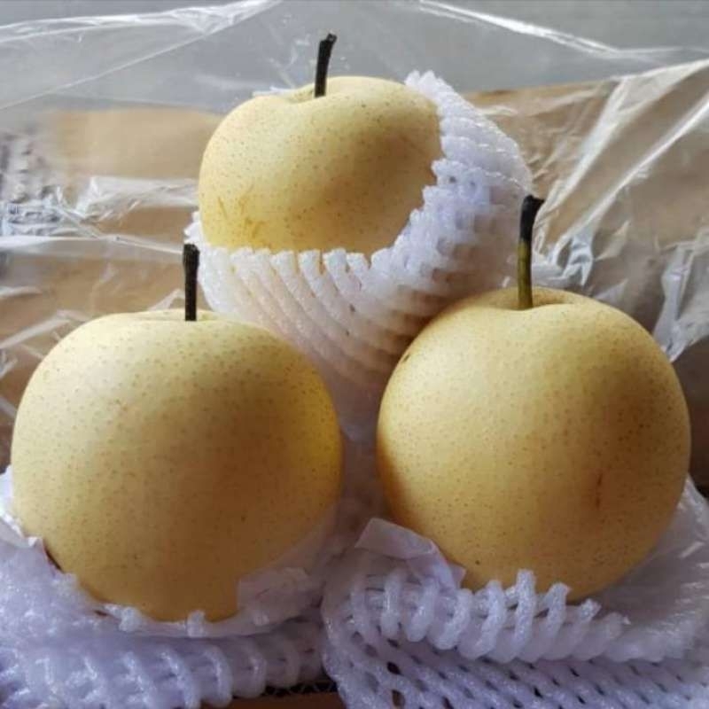 

pir century 1kg