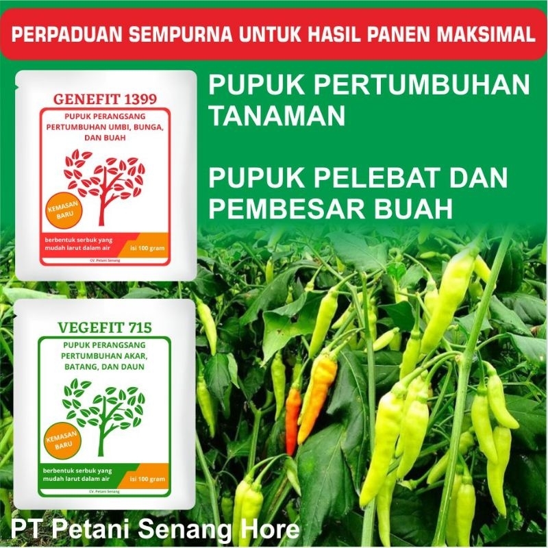 Pupuk Buah dan Pupuk Daun