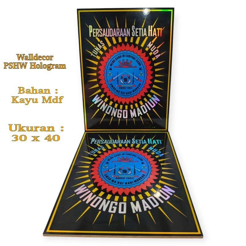 Walldecor / Pigura PSHW / STK HOLOGRAM