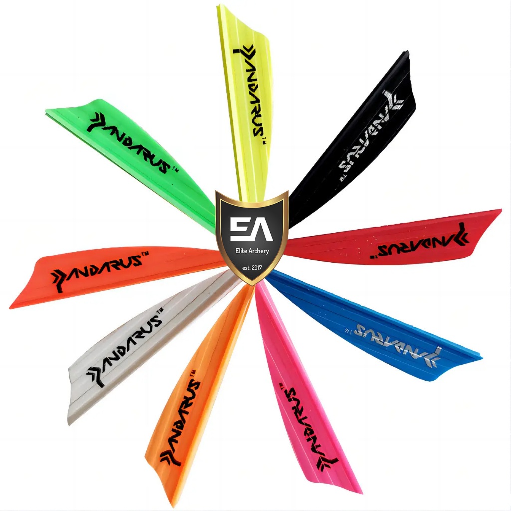 VANES PANDARUS SHIELD ORIGINAL