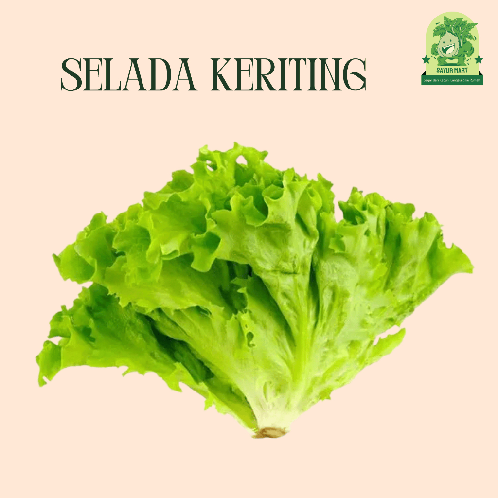 

Selada Keriting 200 Gram
