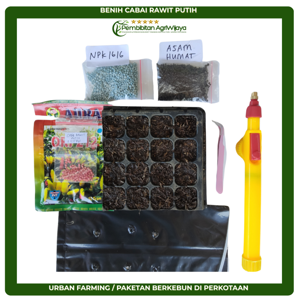 

Cabai Rawit Putih Urban Farming – Paket Lengkap Tanam Sendiri di Rumah untuk Lahan Terbatas