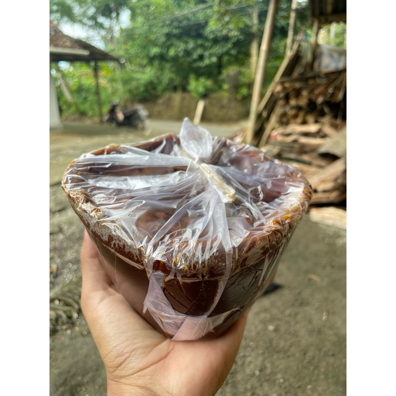 

GULA AREN ORIGINAL TANPA CAMPURAN GULA PUTIH