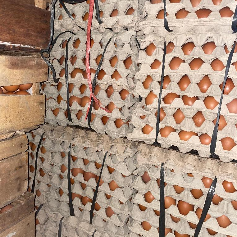 

Telur Ayam Negri New & Fresh (Kg)