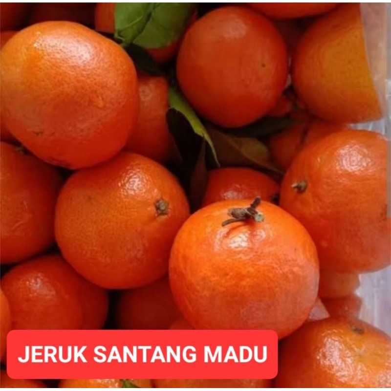 

Jeruk Santang Buah Jeruk Santang 1kg