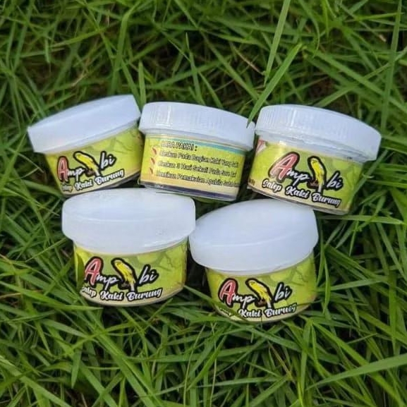 SALEP KENARI AMPIBI menyembuhkan jamur kaki kenari