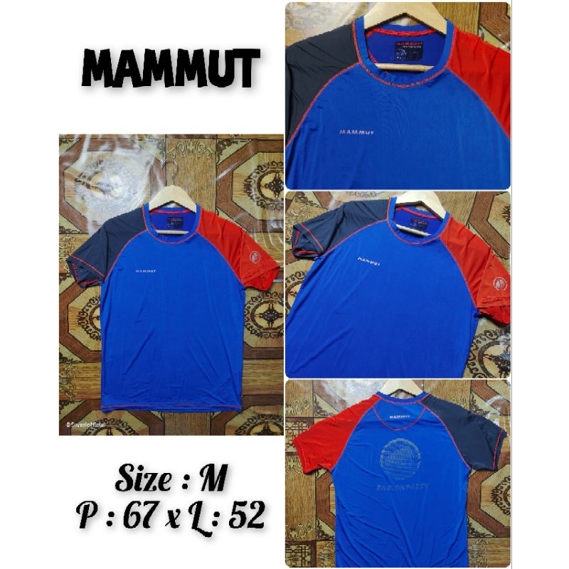 Baselayer Mammut