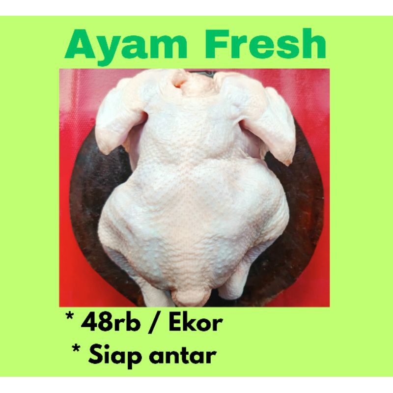

Ayam Segar 1 Ekor Utuh Ukuran 1 kg Lebih