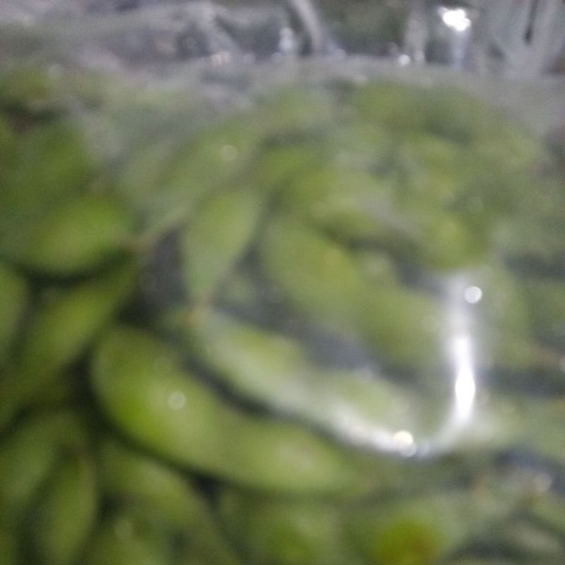 

edamame frozen 500gr