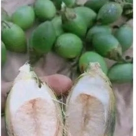 

buah pinang muda isi 20 biji sgae