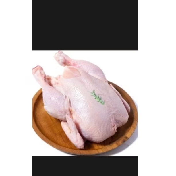

Ayam Broiler Super Segar ( Berat 1.1kg )