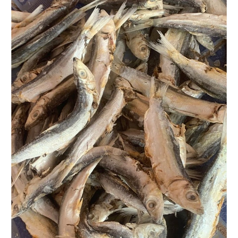 

ikan asin japuh gurih sedap