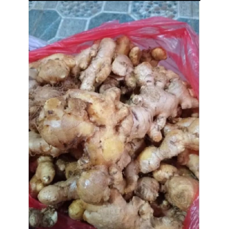 

jahe lokal berat 1kg fresh dipetik langsung dari petani