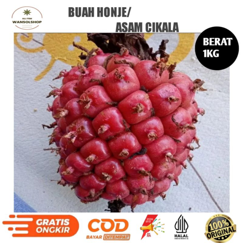 

Promo 1kg asam cekala / asam cikala / asam patikala / buah kecombrang / cekala segar karo bumbu enak