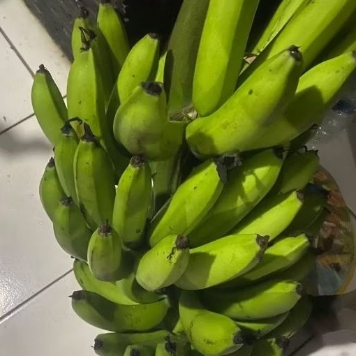 

Buah Pisang Mentah ARM KG Pisang Bangkaulu