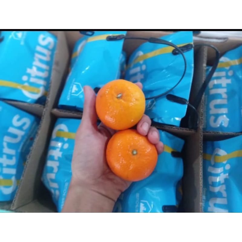 

Jeruk Manis Wogan Madu Gift Pack - Hampers Buah Premium