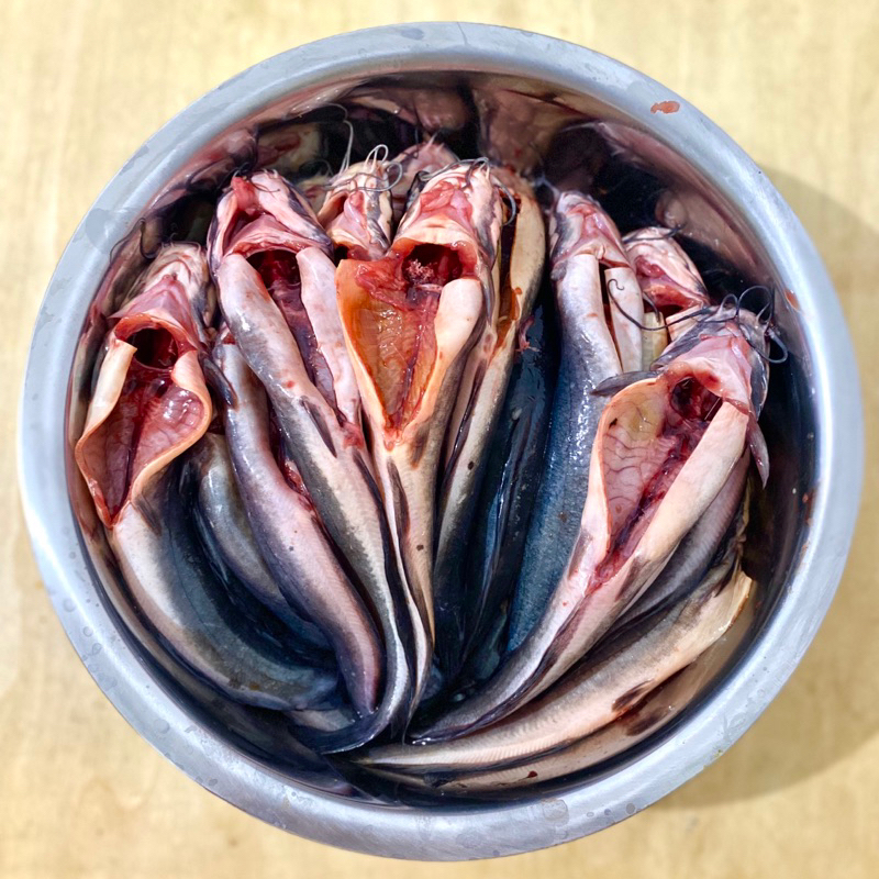 

Isi 5 Lele Fresh Segar Sudah Bersih Siap Masak - Pitikampung