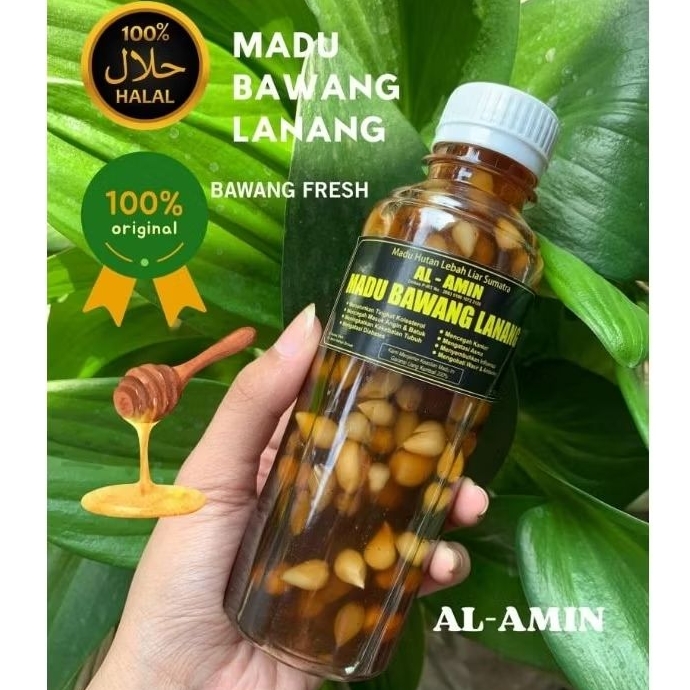 

Madu Bawang Lokal Bawang Lanang Madu Fermentasi Bawang fresh Madu herbal alami Al Amin Bawang Lokal Madu Sumatra Madu Asli100%