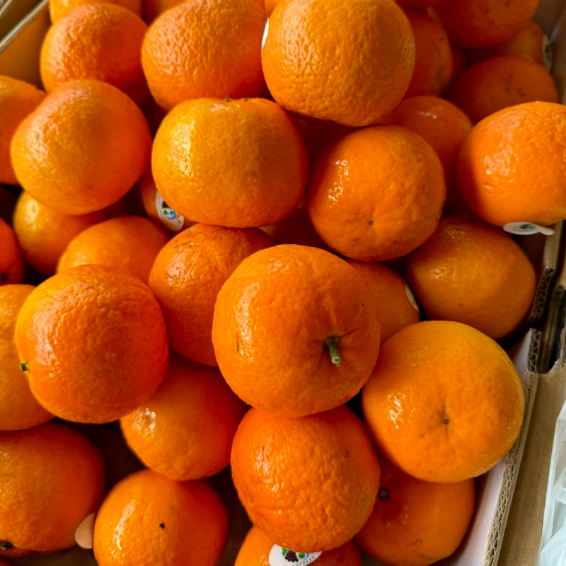 

Buah Jeruk Wokam 1kg