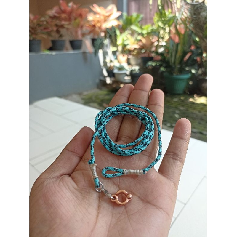 Borgol Burung Falk, love bird, Parkit , Dll